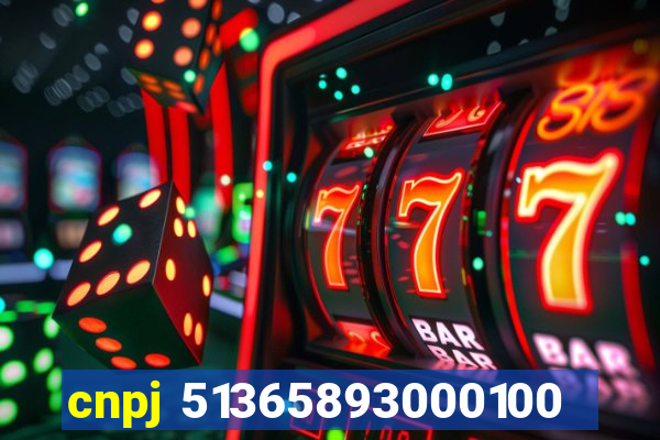 cnpj 51365893000100